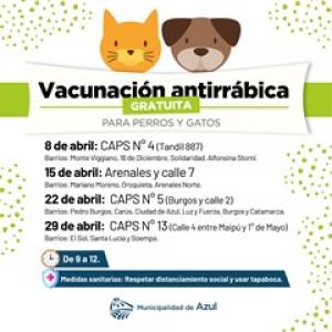 Cronograma de la vacunación antirrábica